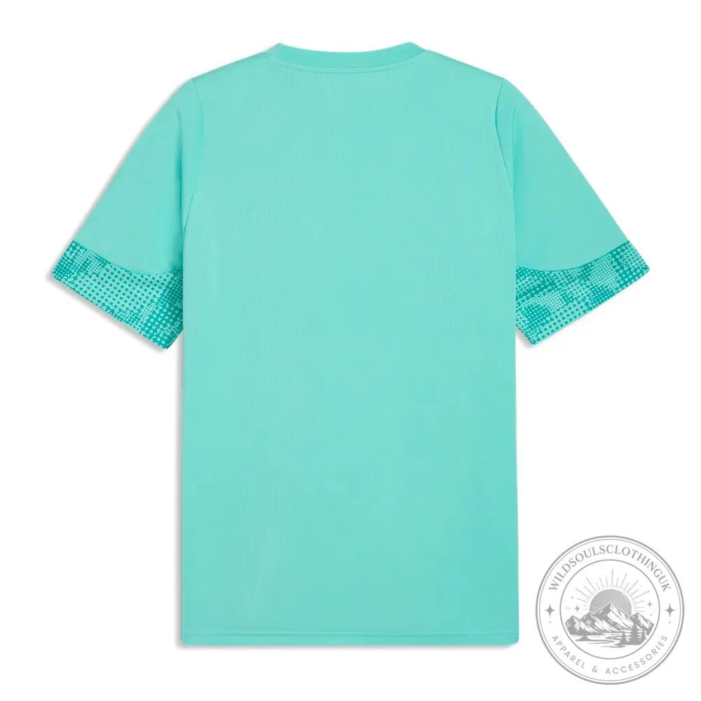 Palmeiras Training Fan Soccer Jersey 7 Palmeiras Training Fan Soccer Jersey
